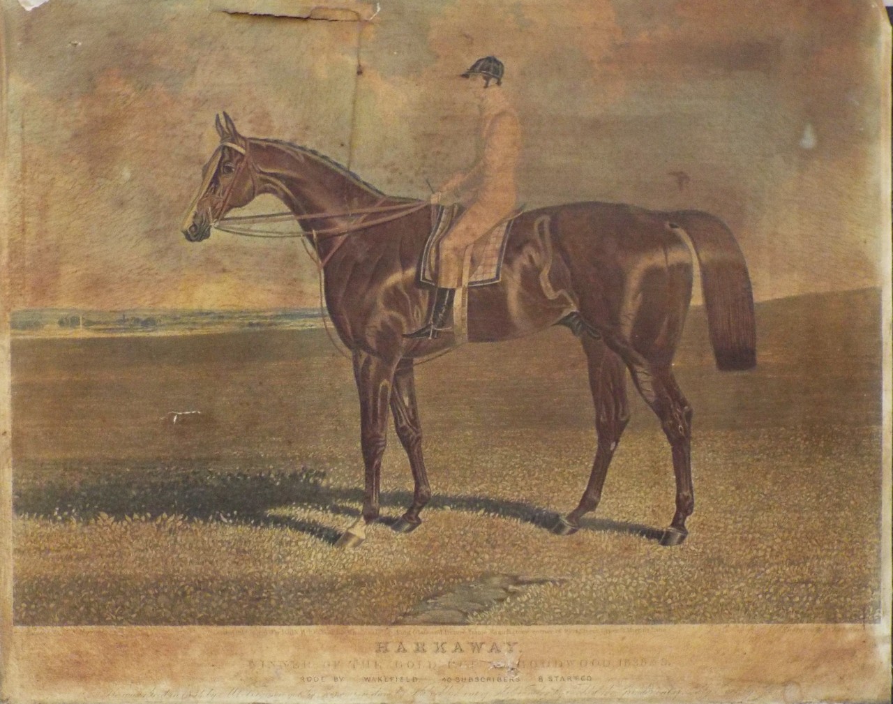 Aquatint - Harkaway. Winner of the Gold Cup at Goodwood, 1838 & 9. - Hunt