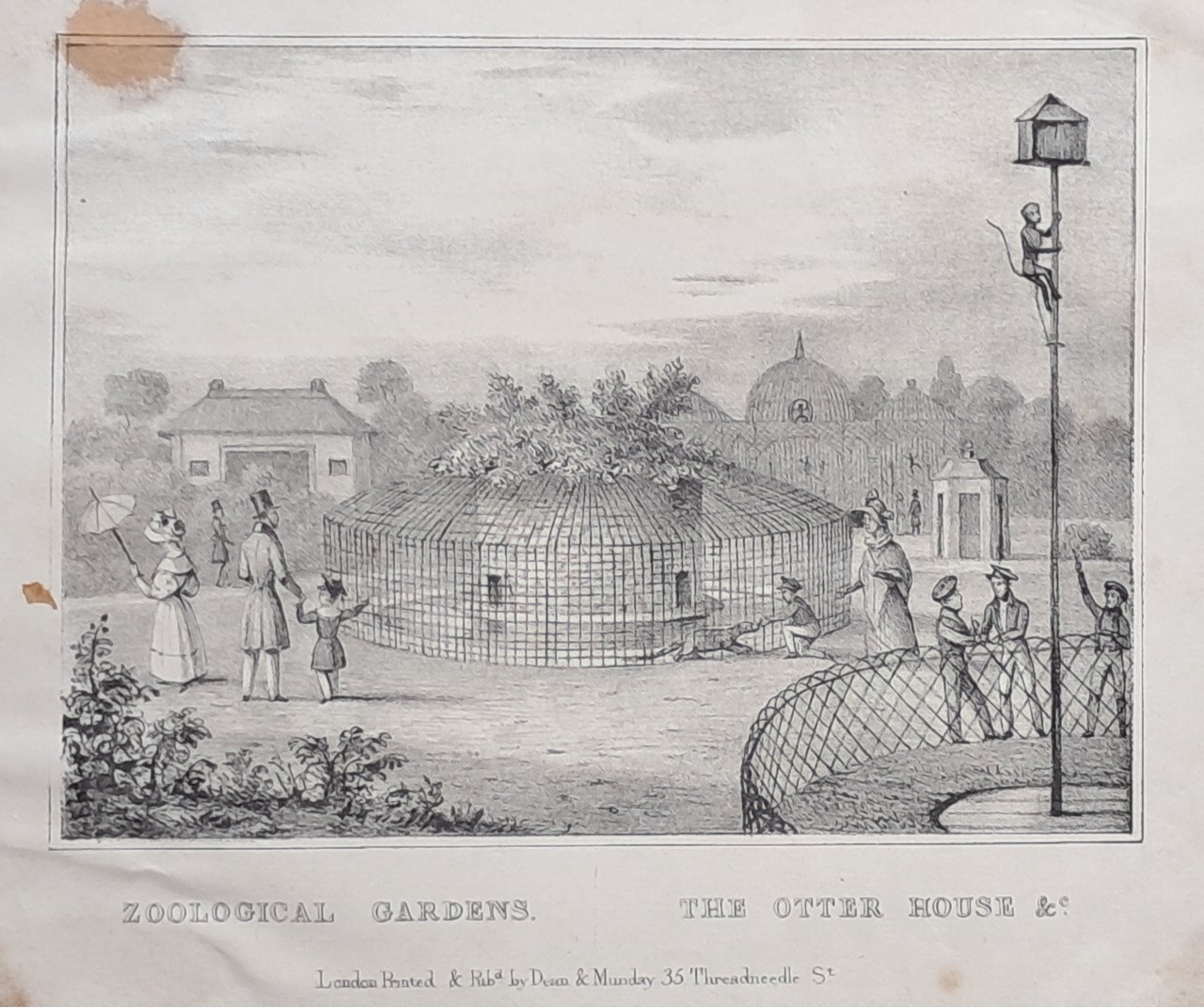Lithograph - Zoological Gardens | The Otter House &c.