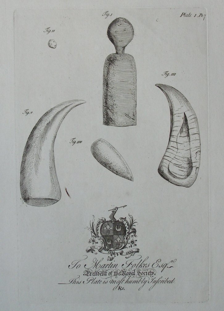 Print - (Shells) To Martin Folkes Esqr President of the Royal Society - Mynde