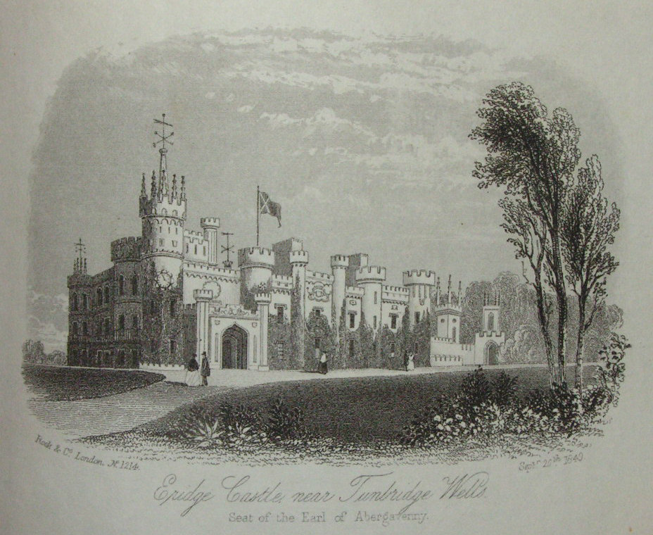 Steel Vignette - Eridge Castle near Tunbridge Wells Seat of the Earl of Abergavenny - Rock