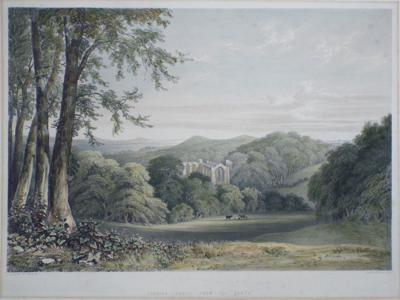 Lithograph - Furness Abbey, from the North. - Walton