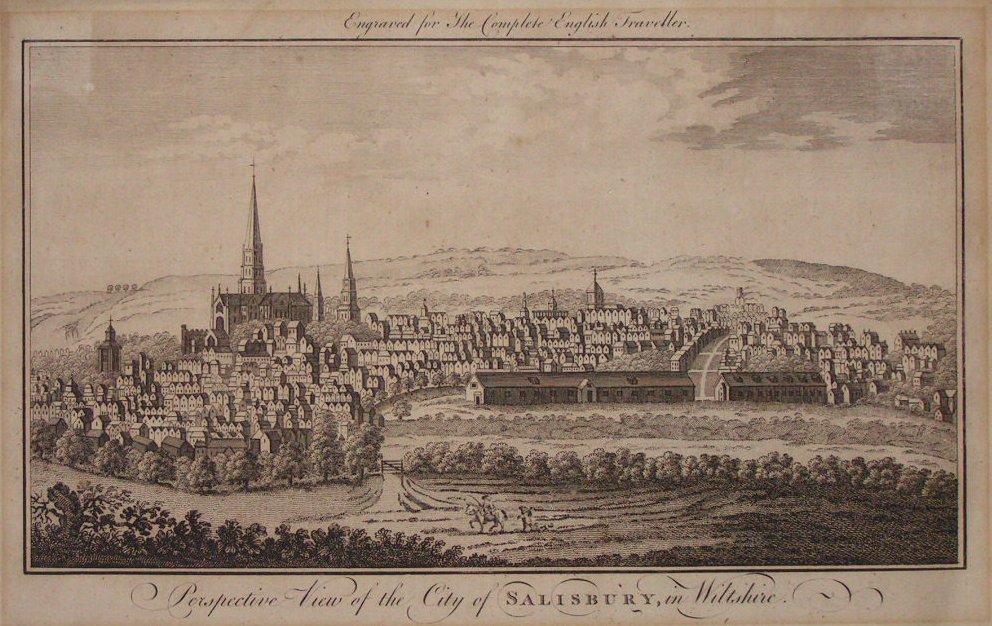 Print - Perspective View of the City of Salisbury, in Wiltshire.
