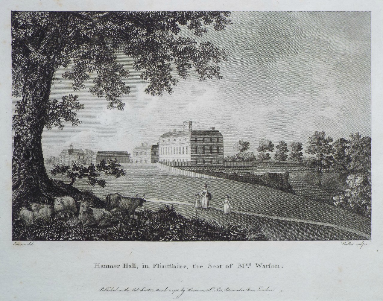 Print - Hanmer Hall, in Flintshire, the Seat of Mrs. Watson. - 