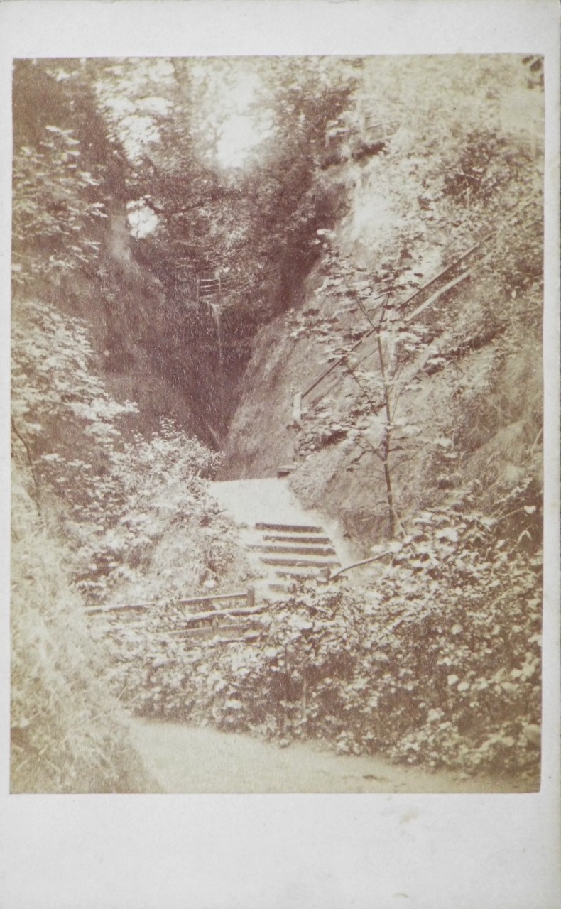 Photograph - Shanklin Chine
