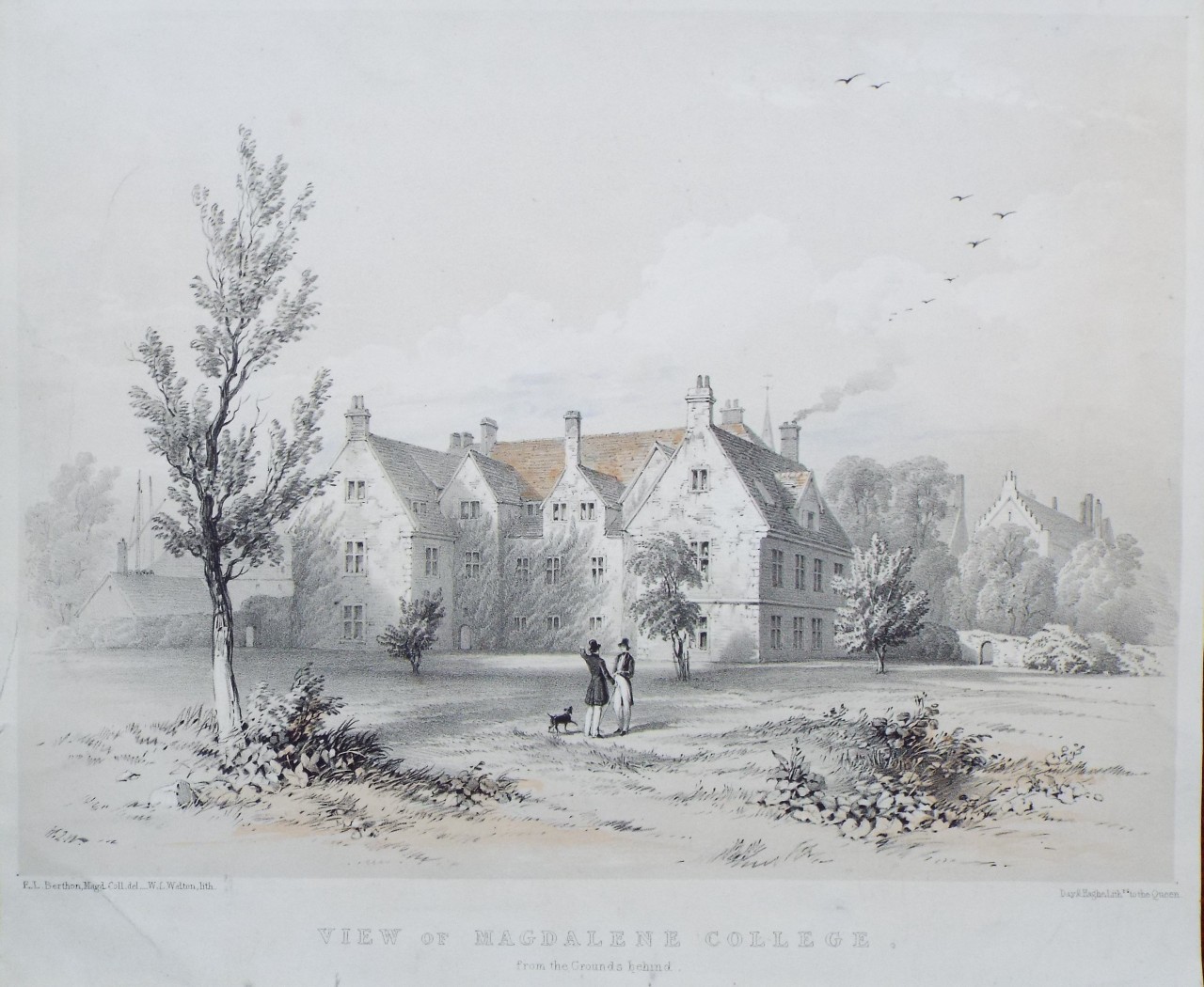 Lithograph - View of Magdalene College, from the Grounds behind. - Walton