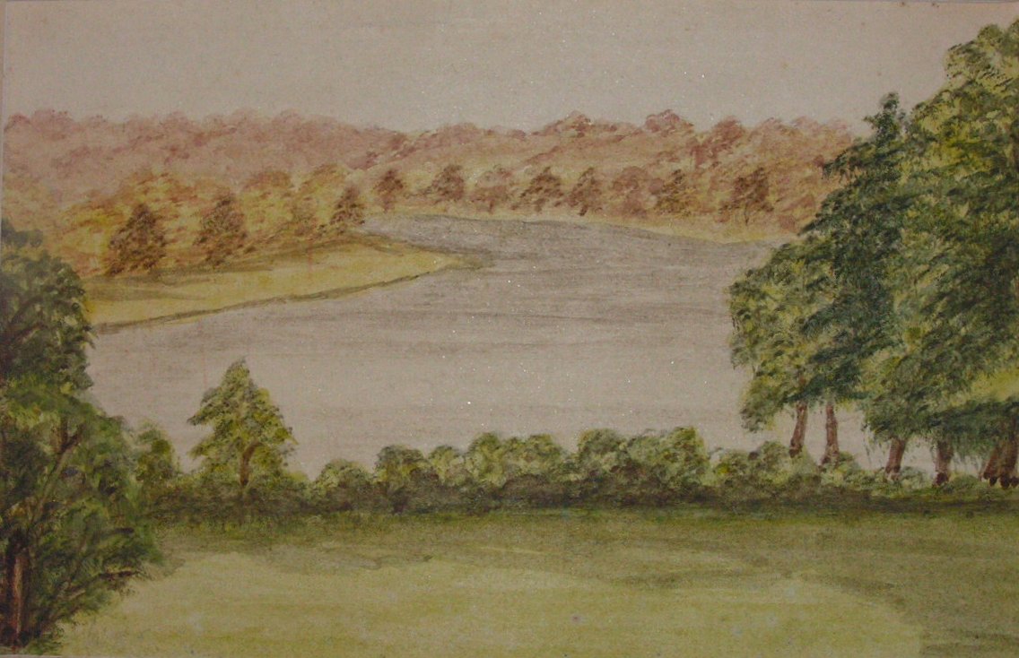 Watercolour - (Tree boarded lake)