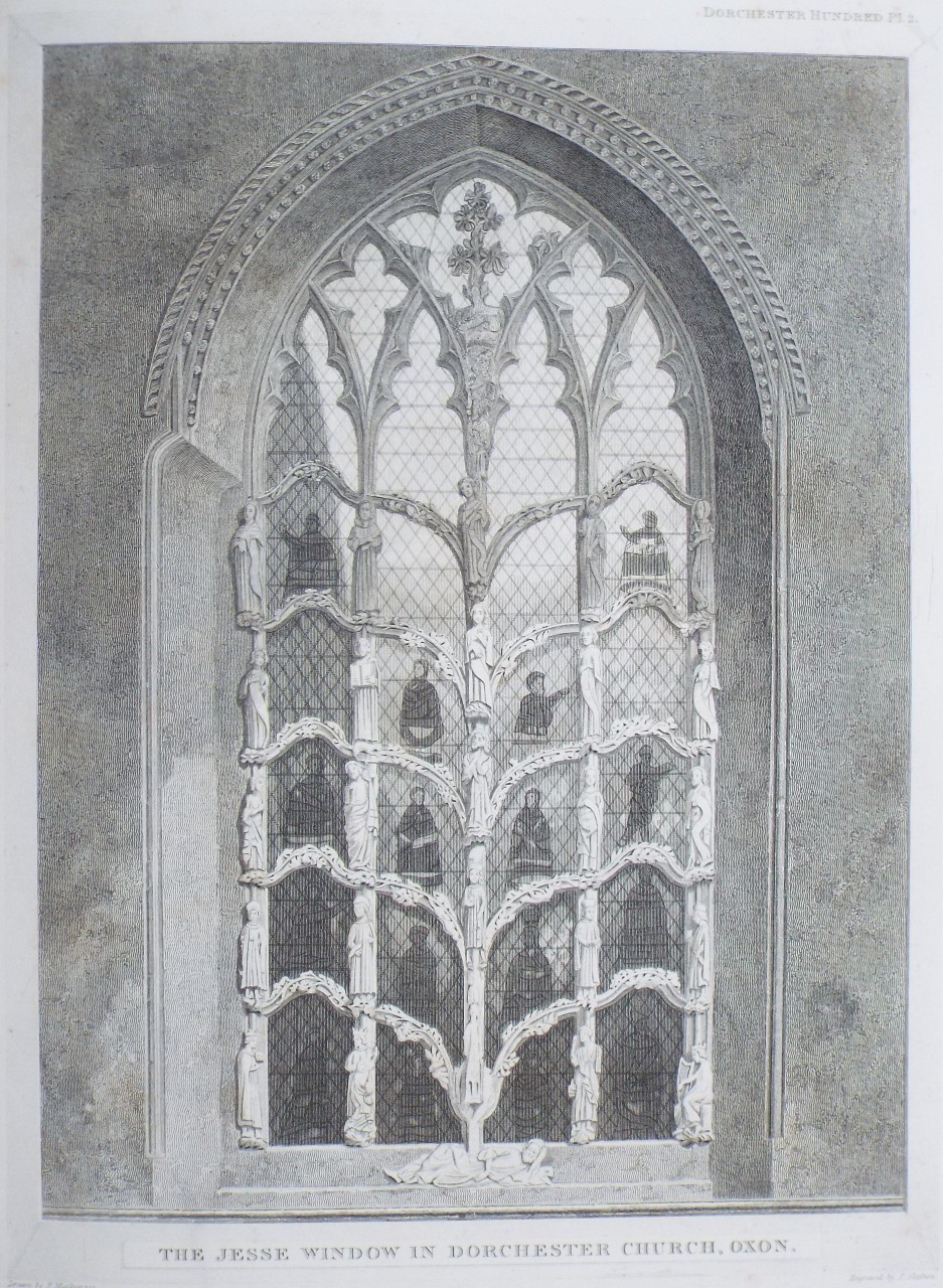 Print - The Jesse Window in Dorchester Church, Oxon. - Skelton