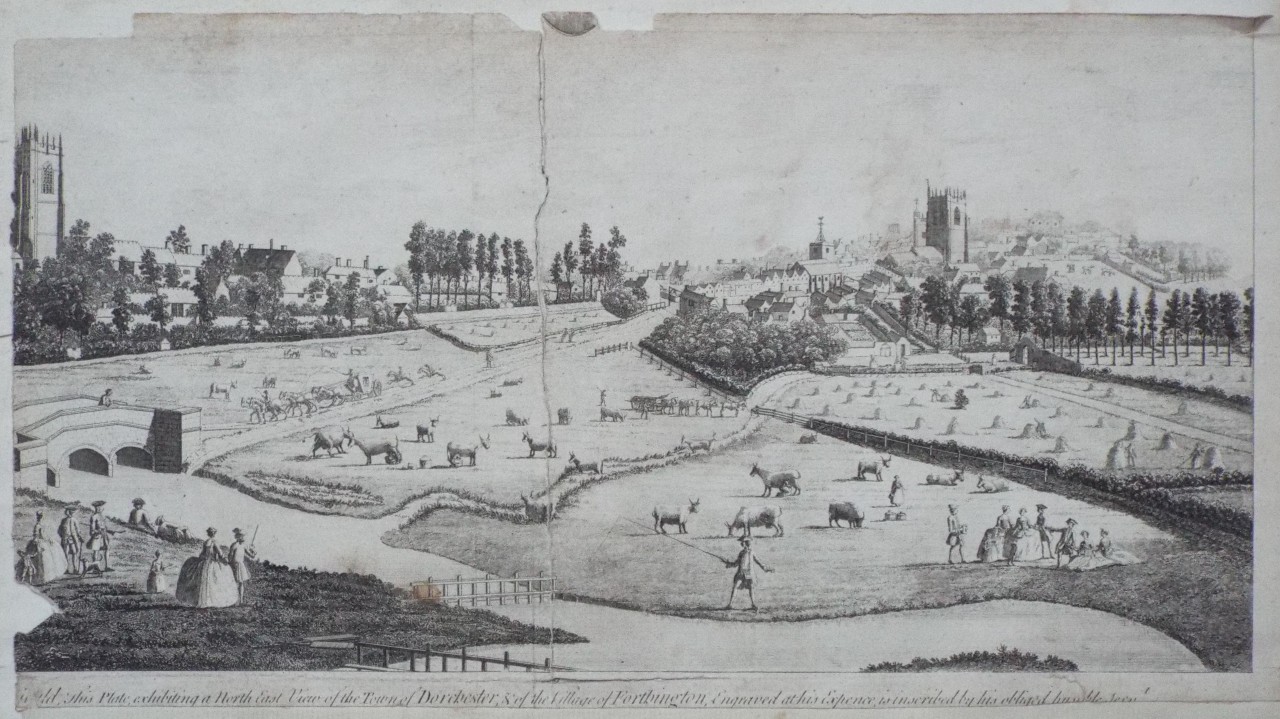 Print - North East View of the Town of Dorchester