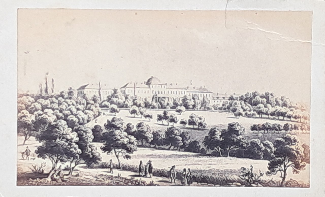 Photograph - Hohenheim
