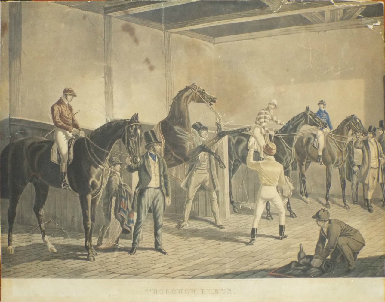 Aquatint - Thorough Breds. - Harris