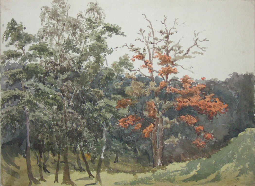 Watercolour - Landscape with trees