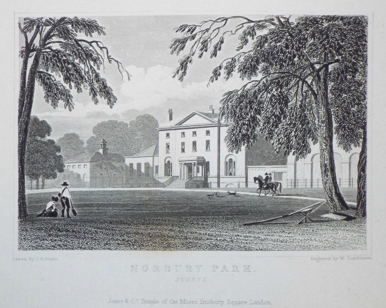 Print - Norbury Park, Surrey. - Tombleson