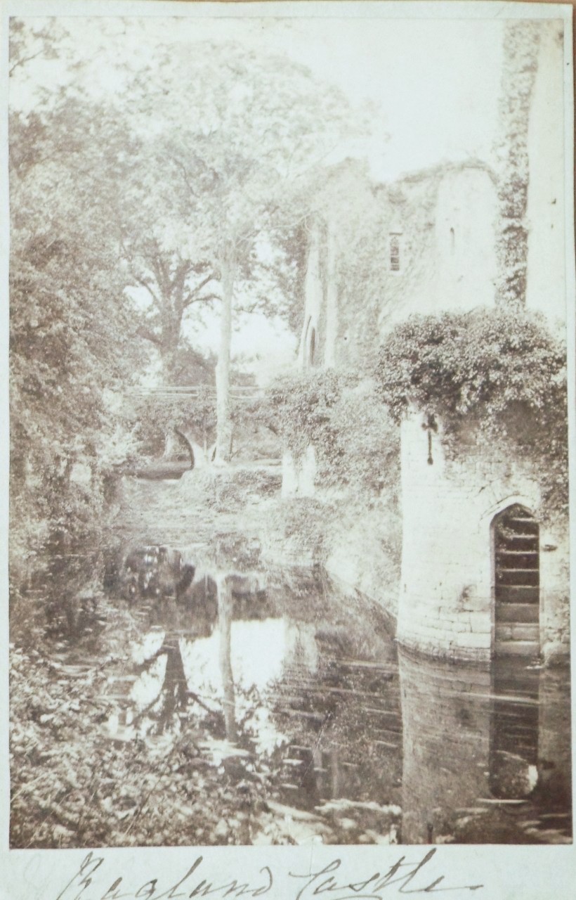 Photograph - Raglan Castle Moat