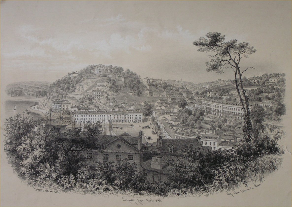 Lithograph - Torquay from Park Hill - Salter