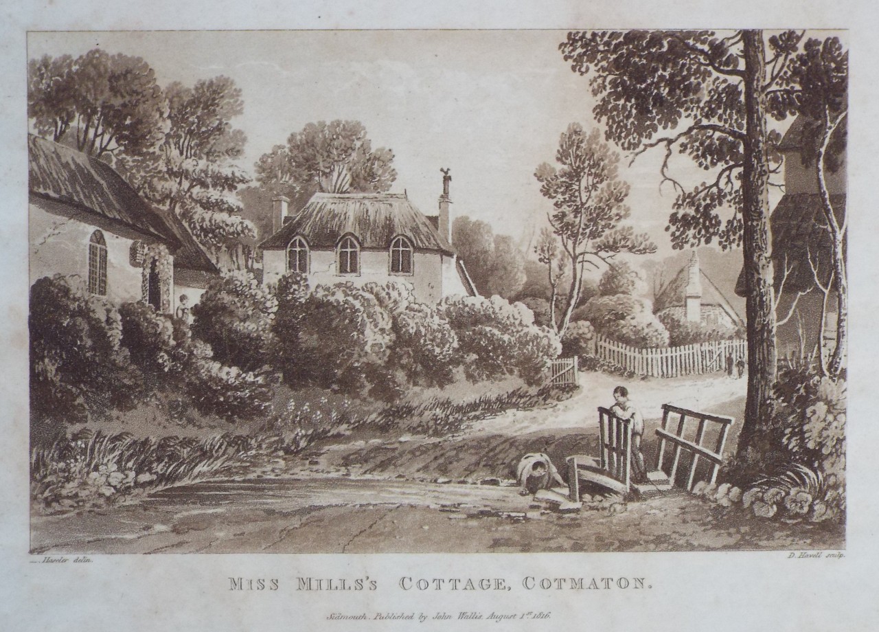 Aquatint - Miss Mills's Cottage, Cotmaton. - Havell