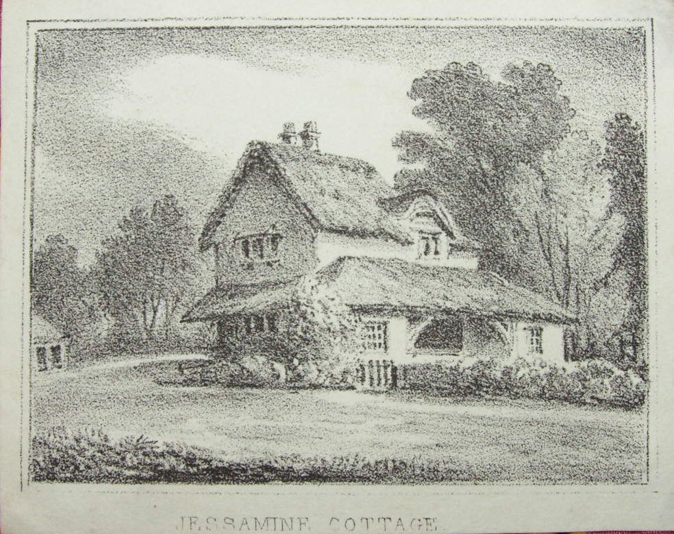 Lithograph - Jessamine Cottage