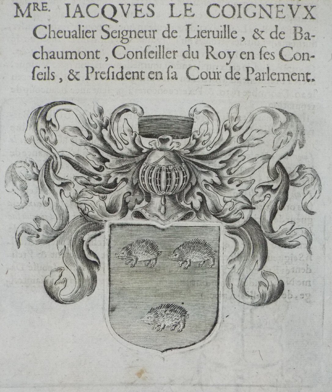 Print - Mre. Jacques le Coigneux Chevalier Seigneur de Lieruille, & de Ba-chaumont, Conseiller du Roy en ses Conseils, & President en sa Cour de Parlement.