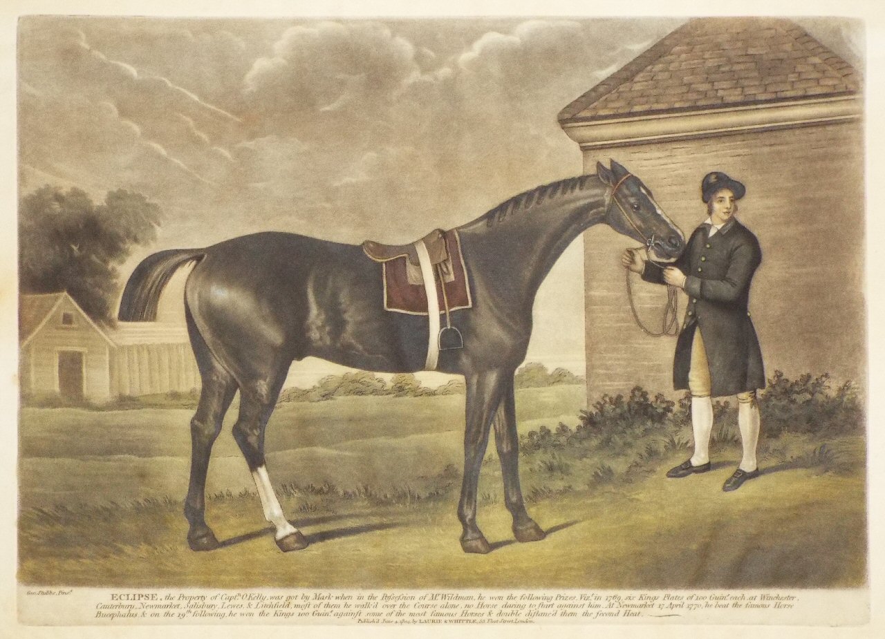 Mezzotint - Eclipse, the Property of Capt.n O Kelly, was got by Mask when in the Possession of M.r Wildman,he won the Following Prizes, Vizt. in 1769, six Kings Plates of 100 Gunis each at inchester, Canterbury, Newmarket, Salisbury, Lewes & Litchfield most of them he walk'd over the Course alone, No Horse daring to Start against him. At Newmarket 17 April 1770, he beat the famous horse Bucephalus & on the 19th following he won the Kings 100 Guins against some of the most famous Horses & double distanc'd them the Second Heat.