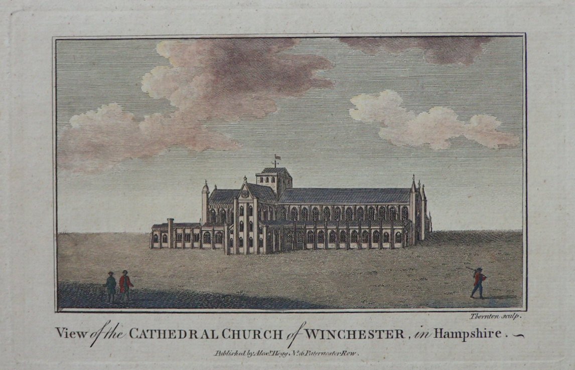 Print - View of the Cathedral Church of Winchester, in Hampshire - 