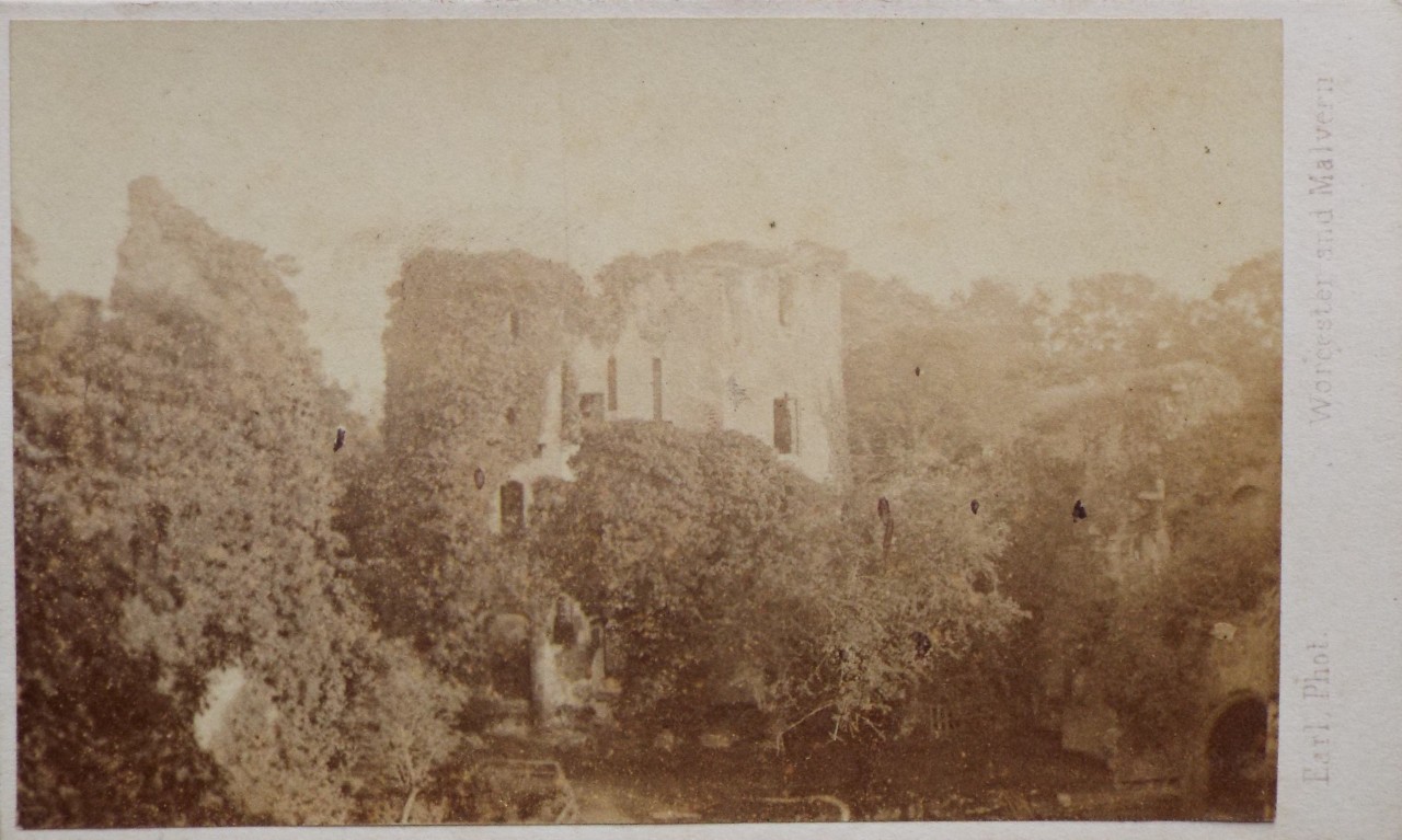 Photograph - Raglan Castle