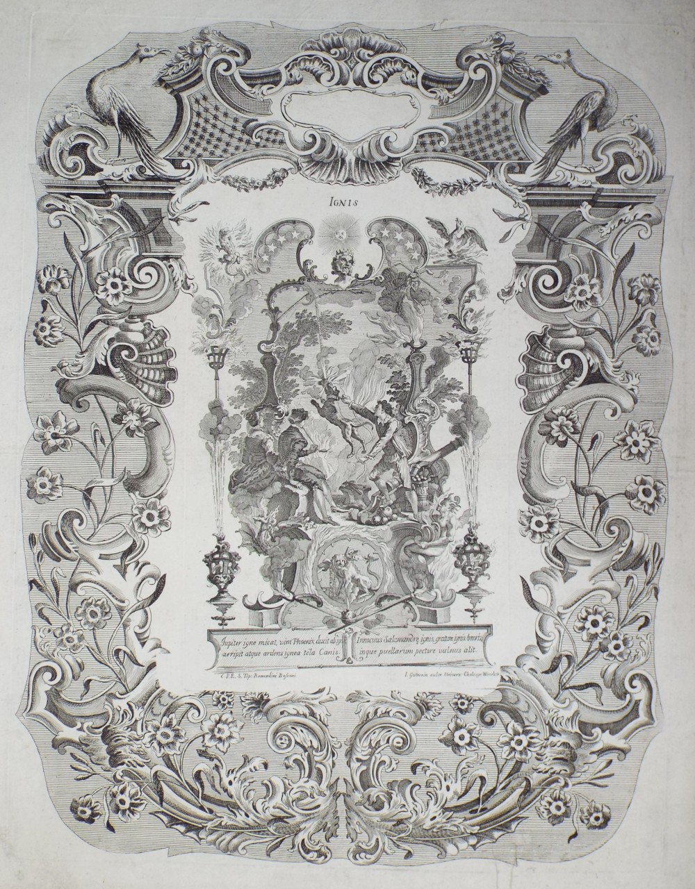 Print - Ignis - Gutwein