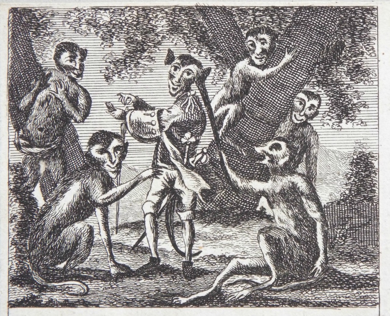 Print - (Six monkeys)