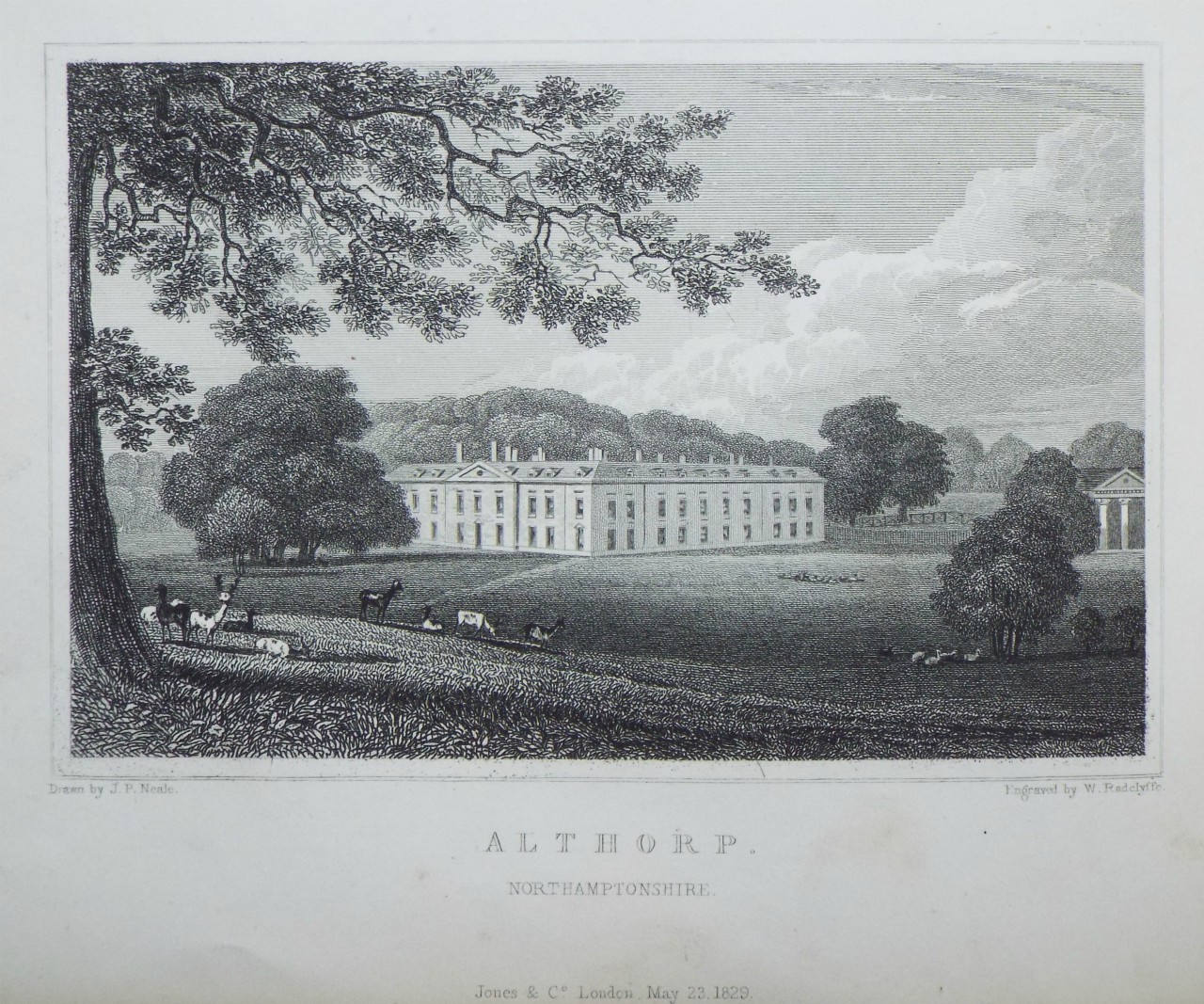 Print - Althorp, Northamptonshire. - Radclyffe