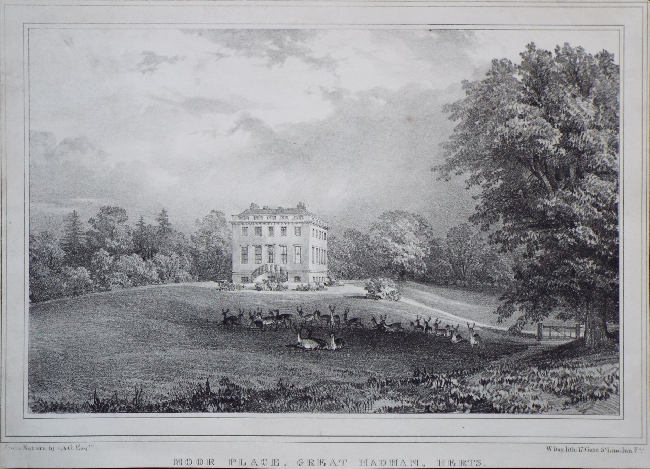 Lithograph - Moor Place, Great Hadham, Herts. - Day