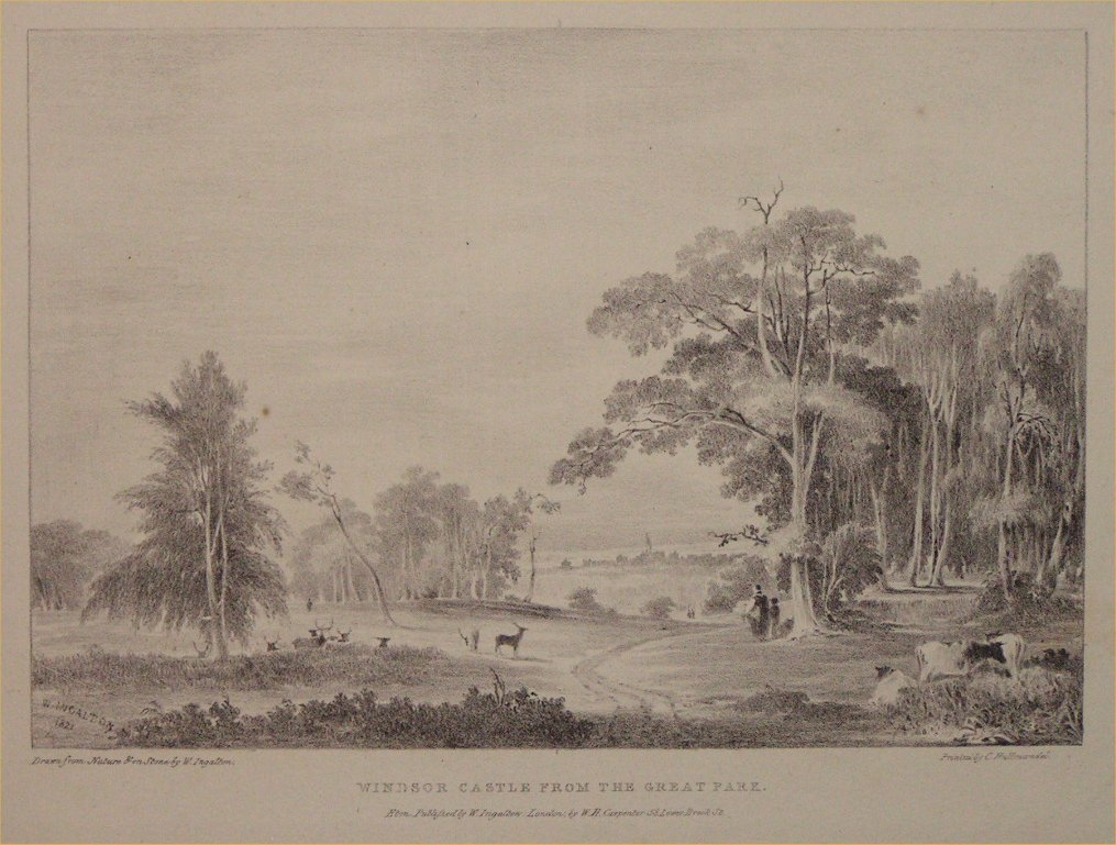 Lithograph - Windsor Castle from the Great Park - Ingalton
