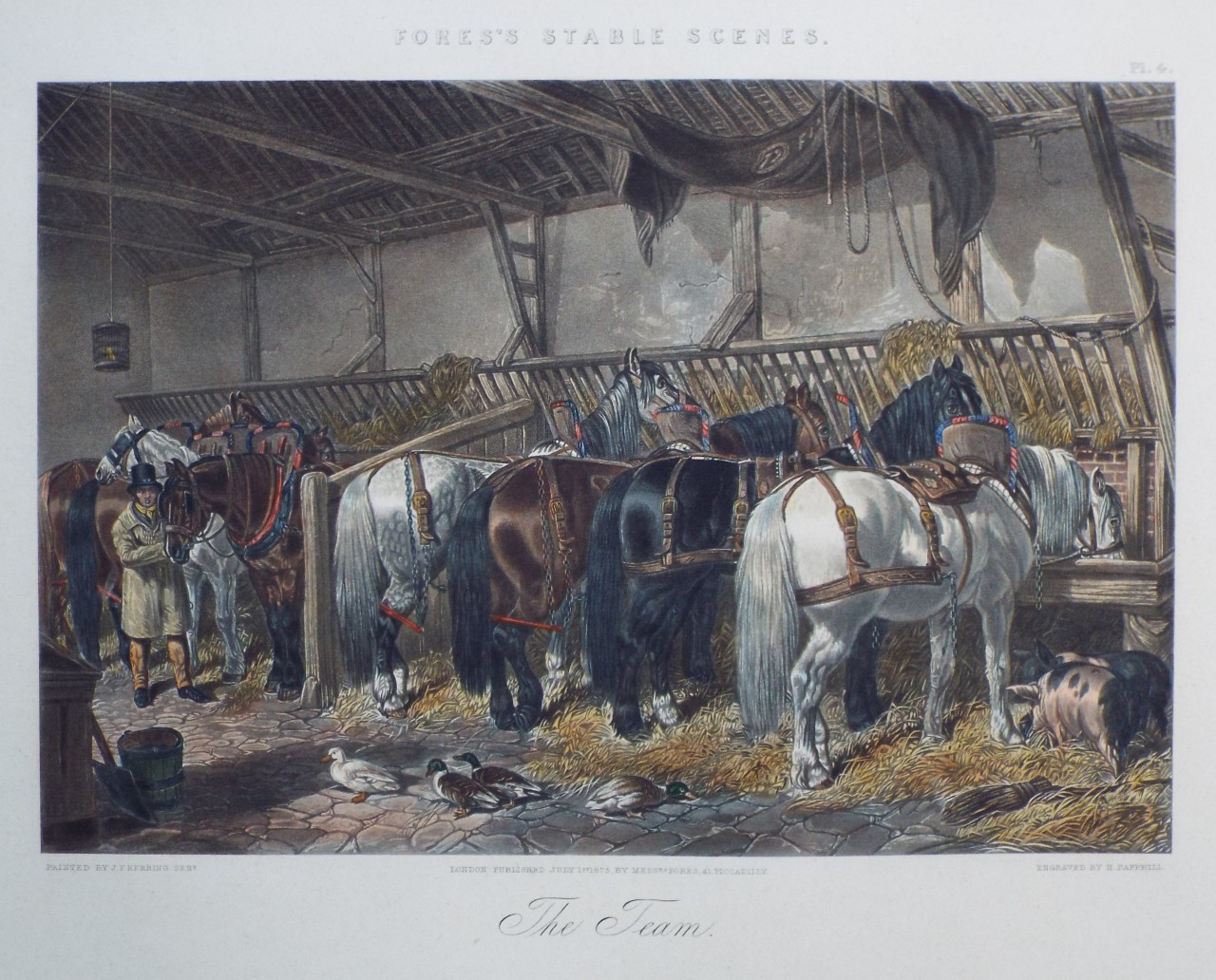 Aquatint - Fores's Stable Scenes. The Team. - Papprill