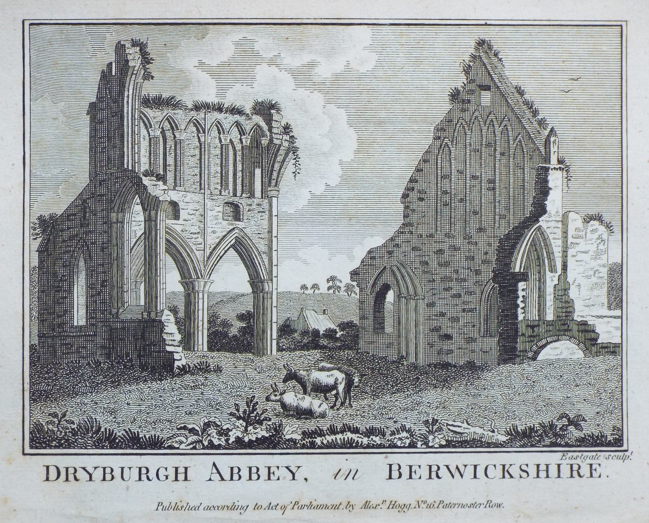 Print - Dryburgh Abbey, in Berwickshire. - 