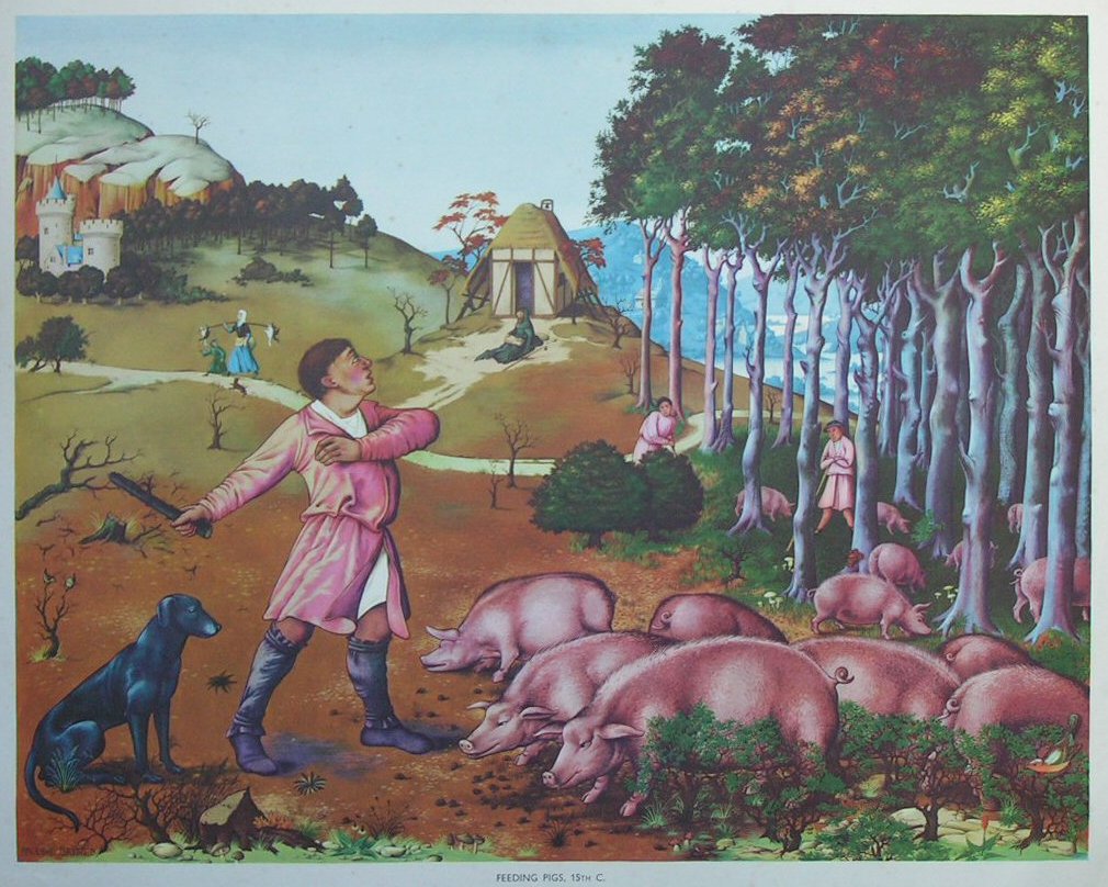 Lithograph - 60 Feeding Pigs, 15th C.