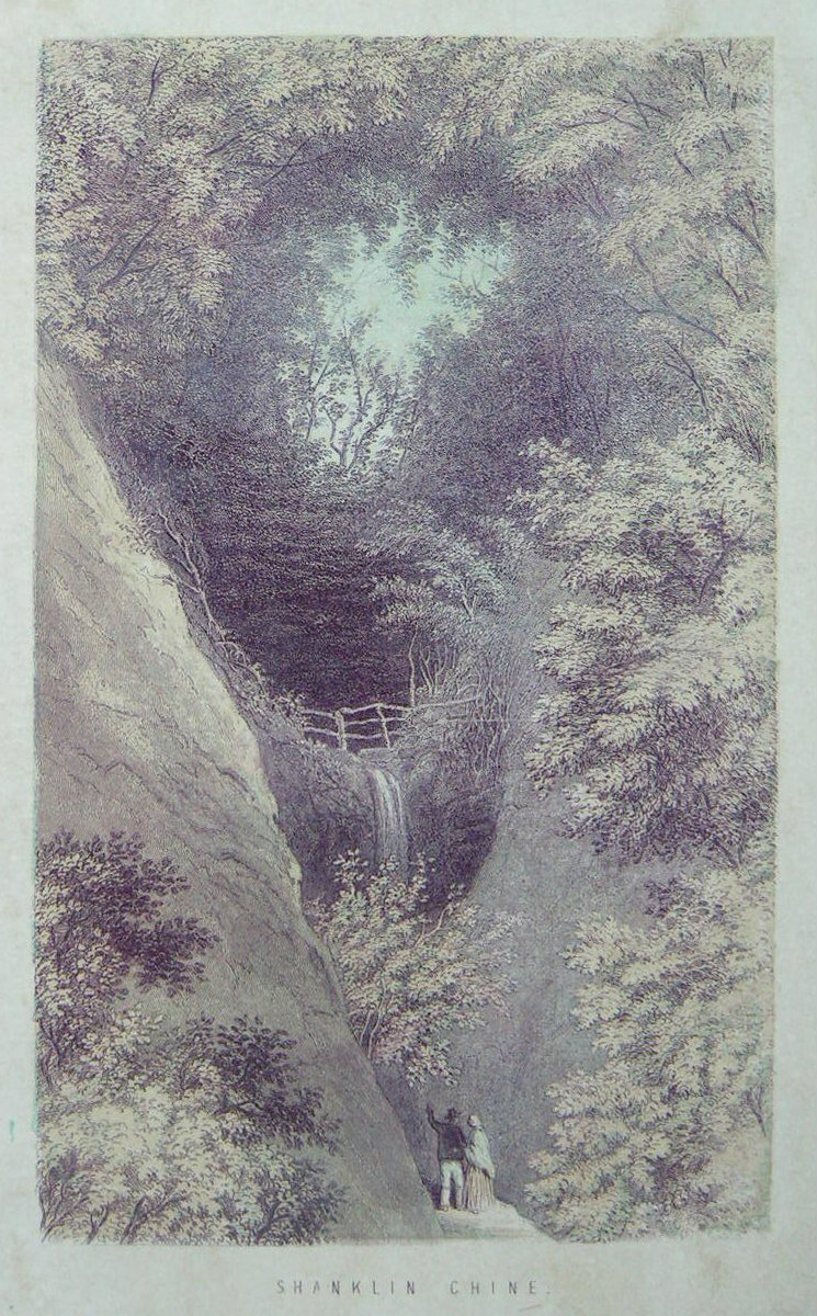 Chromo-lithograph - Shanklin Chine