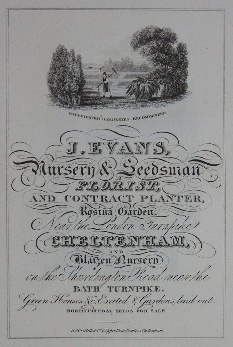 Print - J. Evans Nursery & Seedsman, Florist and Contract Planter