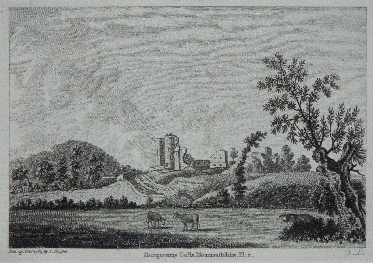 Print - Abergavenny Castle, Monmouthshire, Pl.2. - D