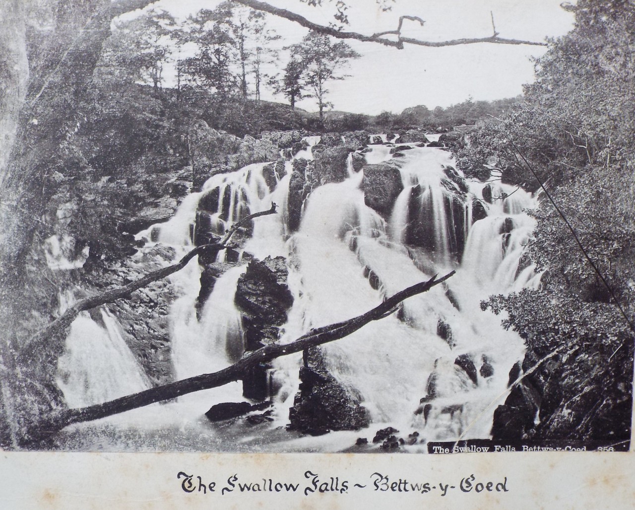 Photograph - The Swallow Falls, Bettwys-y-Coed