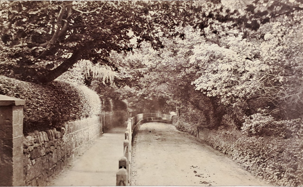 Photograph - Chine Walk, Shanklin