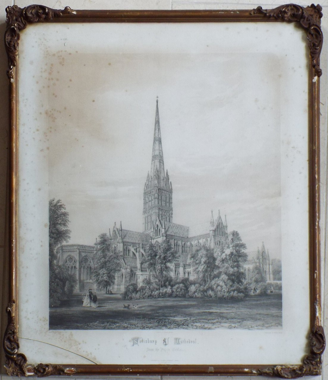 Lithograph - Salisbury Cathedral from the Palace Garden. - Vincent