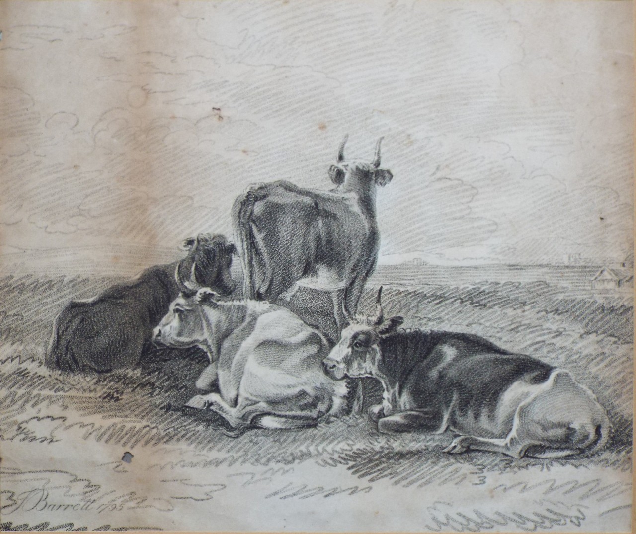 Print - Cows