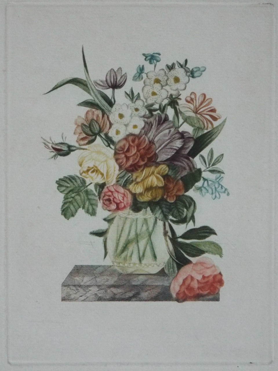 Print - Still Life - Vase of Flowers