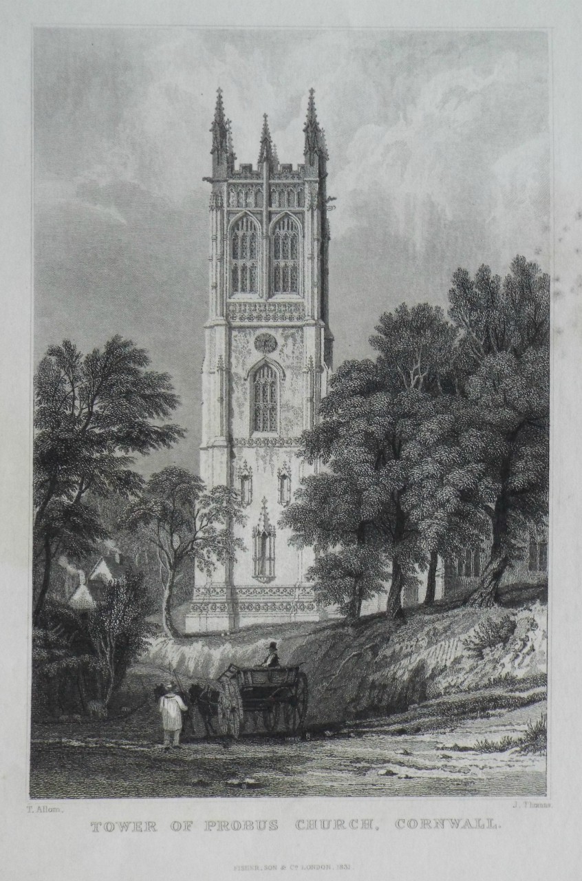 Print - Tower of Probus Church, Cornwall. - Thomas