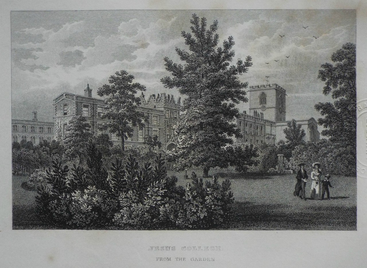 Print - Jesus College. From the Garden.