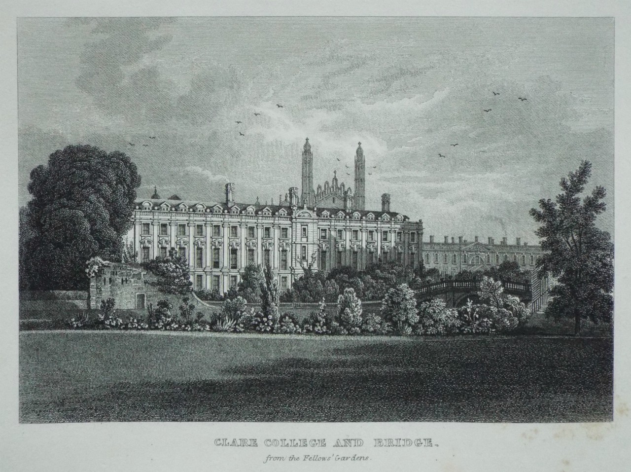 Print - Clare College and Bridge, from the Fellows' Gardens.