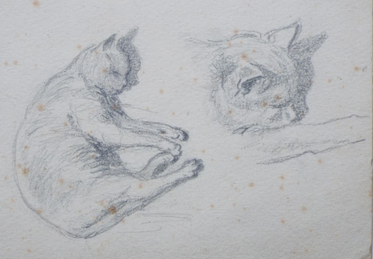 Pencil drawing - Two sketches of cats