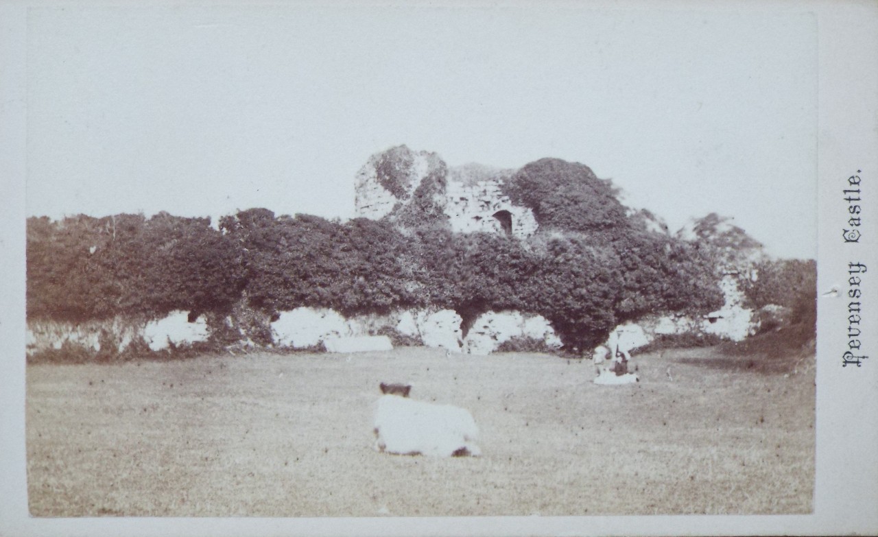 Photograph - Pevensey Castle