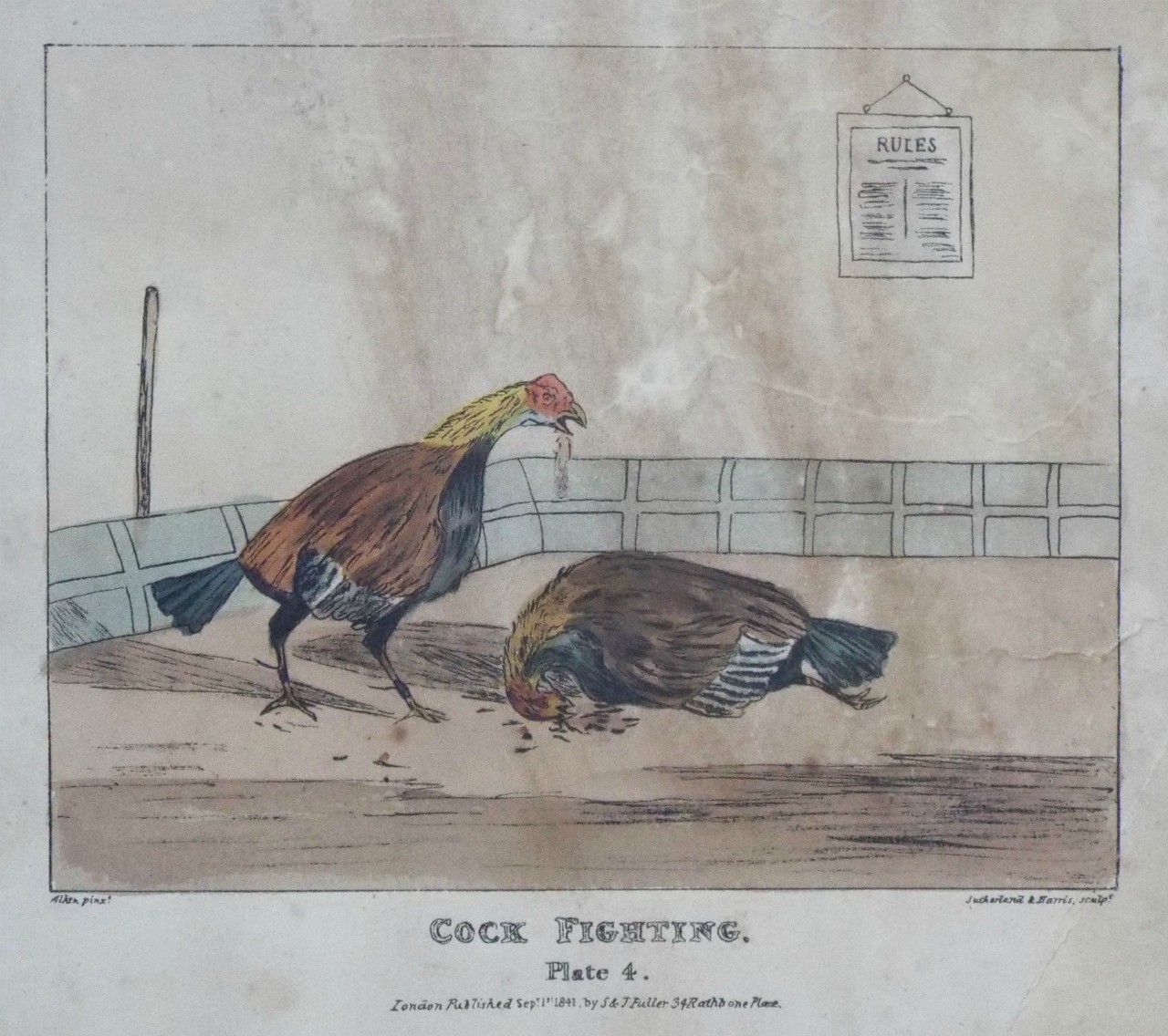Lithograph - 4 Cock Fighting Plate 4. - Sutherland