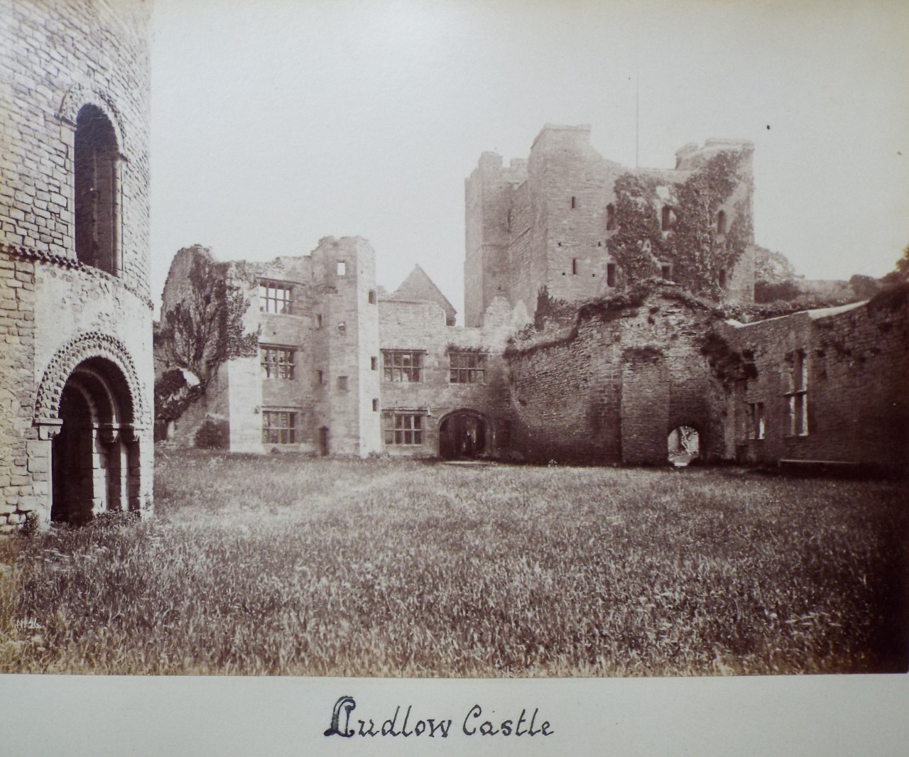 Photograph - Ludlow Castle