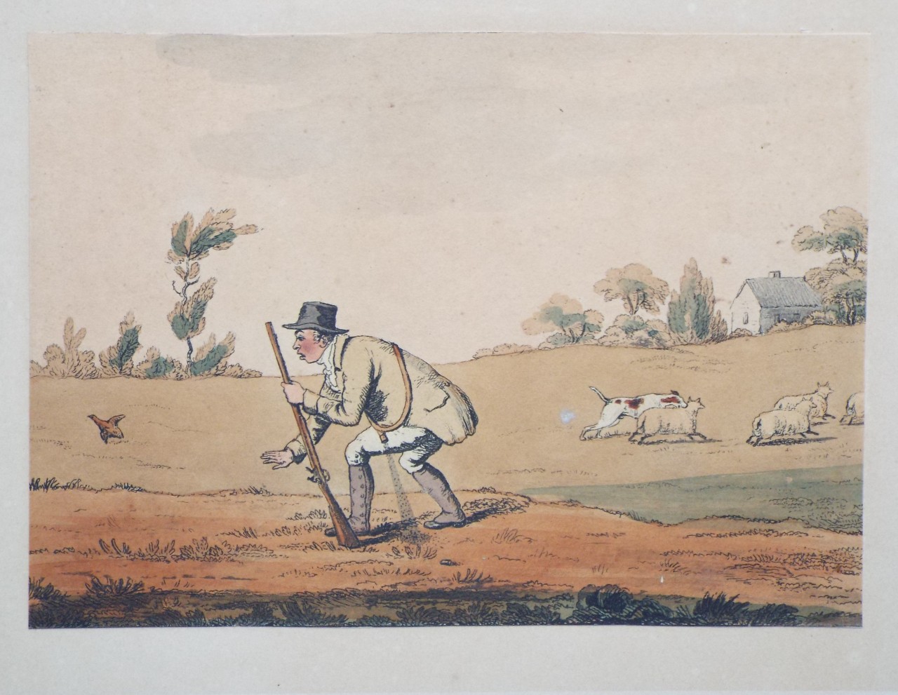 Aquatint - Sportsman with gun following bird; dog worrying sheep. - Woodman