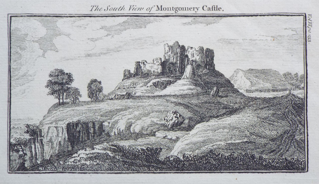 Print - The South View of Montgomery Castle.