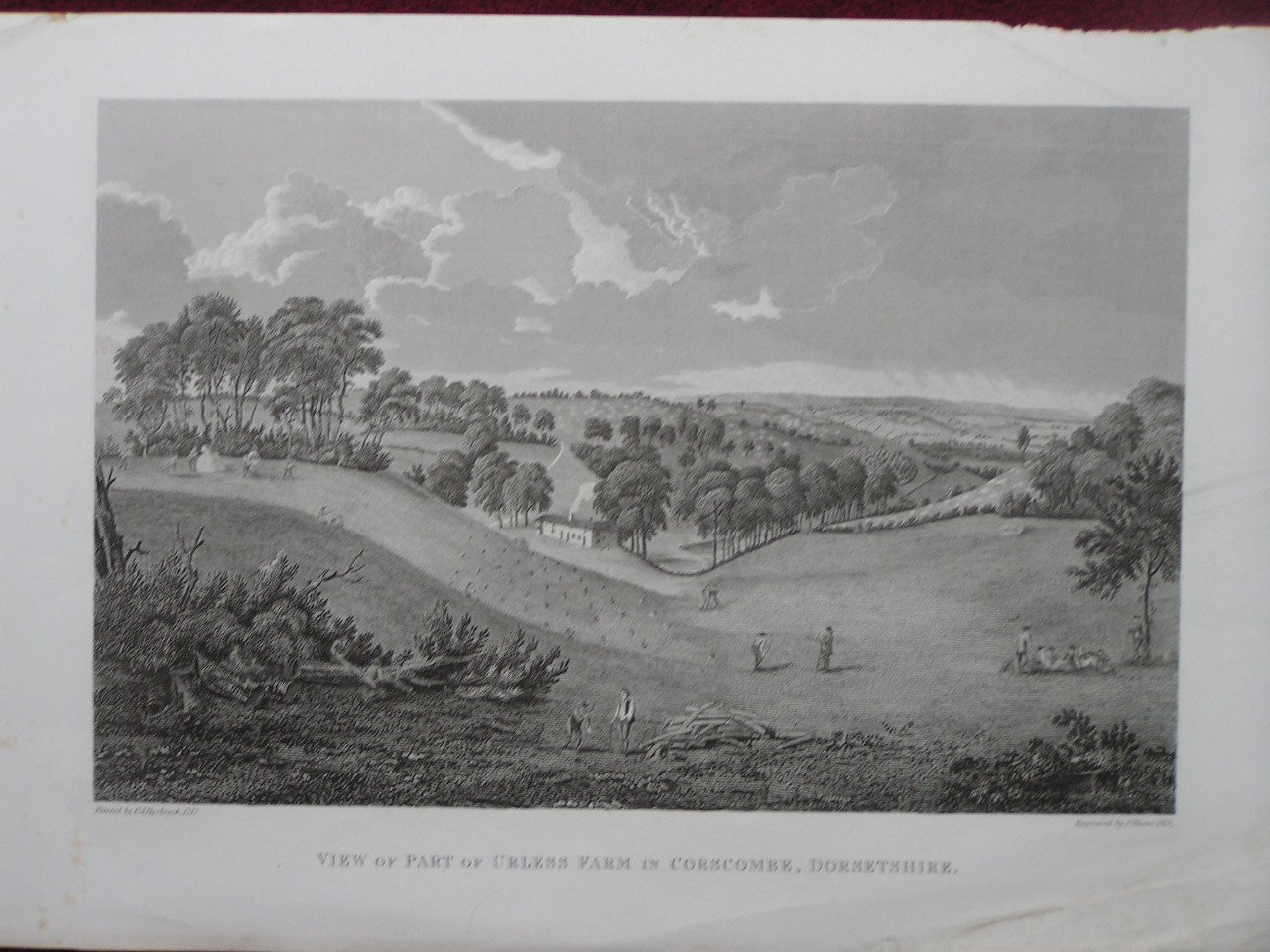 Print - View of Part of Urless Farm in Corscombe, Dorsetshire. - Basire
